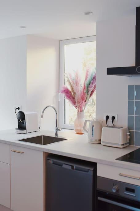 Appartement Aquaroom Rdc - Plage 50M - Rue Gratuite Сен-Мало Екстер'єр фото